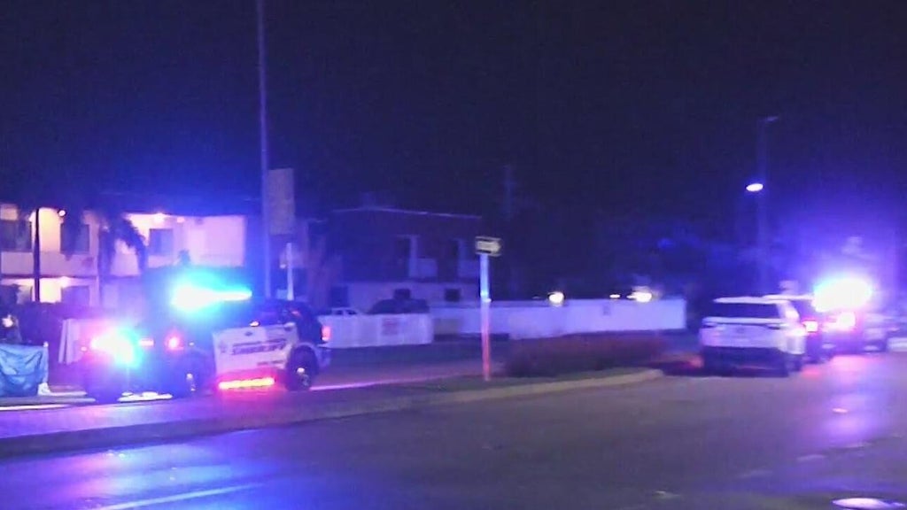 Woman accused of killing man in Dania Beach hit-and-run, BSO says — CBS Miami, Bonita Springs Community news