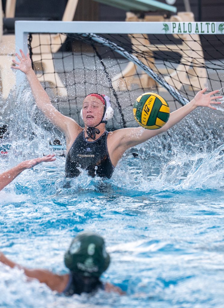 Wilcox Water Polo Caught in Vikings Rip Current — Silicon Valley Voice, Bonita Springs Sports news