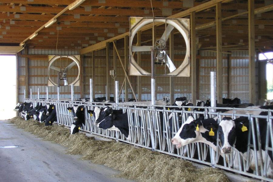 Dairy group seeks farmer input on fuel costs and farm economics — KFGO, Bonita Springs Business news