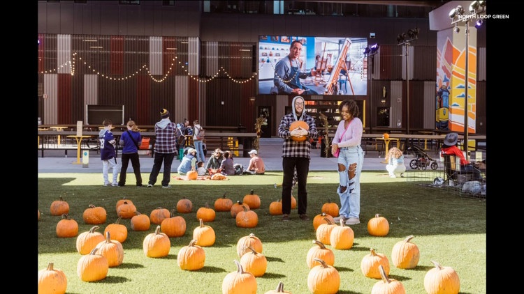 Spooky season with North Loop Green — KARE 11 Local, Bonita Springs Sports news