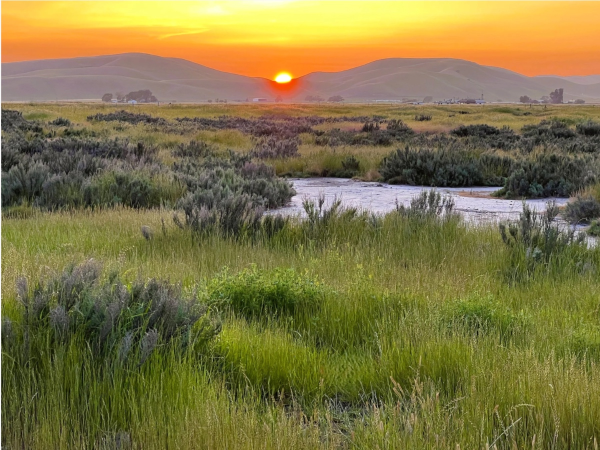 331 Acres Of Tri-Valley Wildlife Habitat, Open Space Permanently Protected — Danville Patch, Bonita Springs Community news